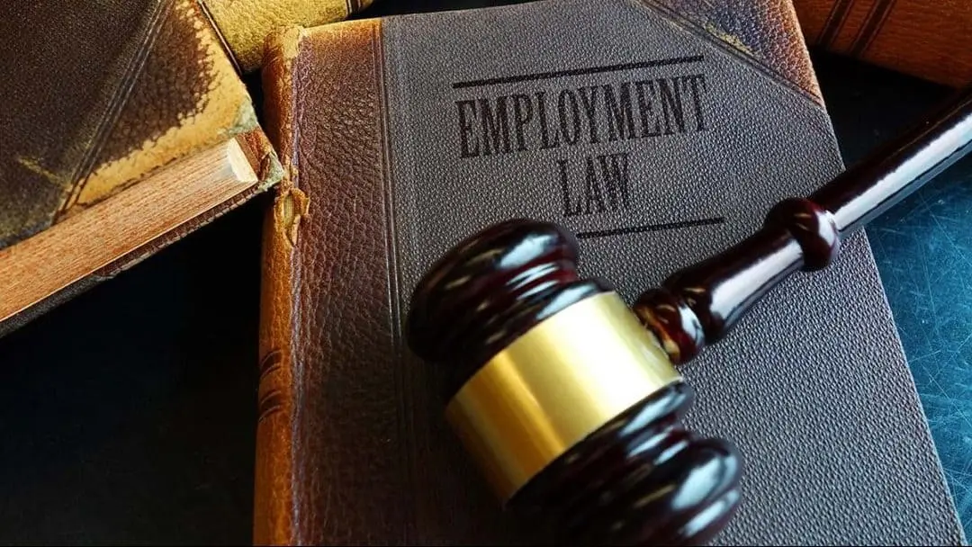 Judge's gavel resting atop book titled Employment Law