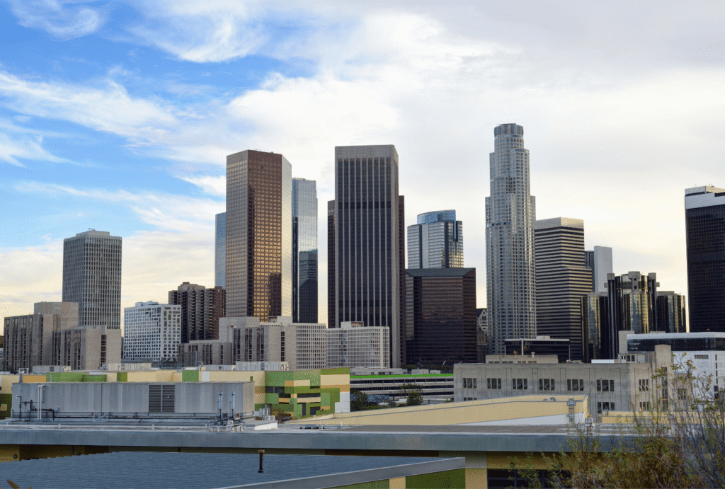 LA Skyline Photo